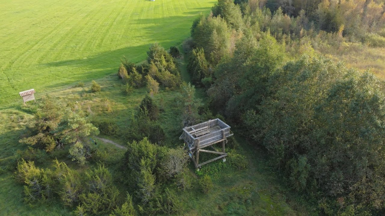 #32 SAARE OBSERVATION PLATFORM