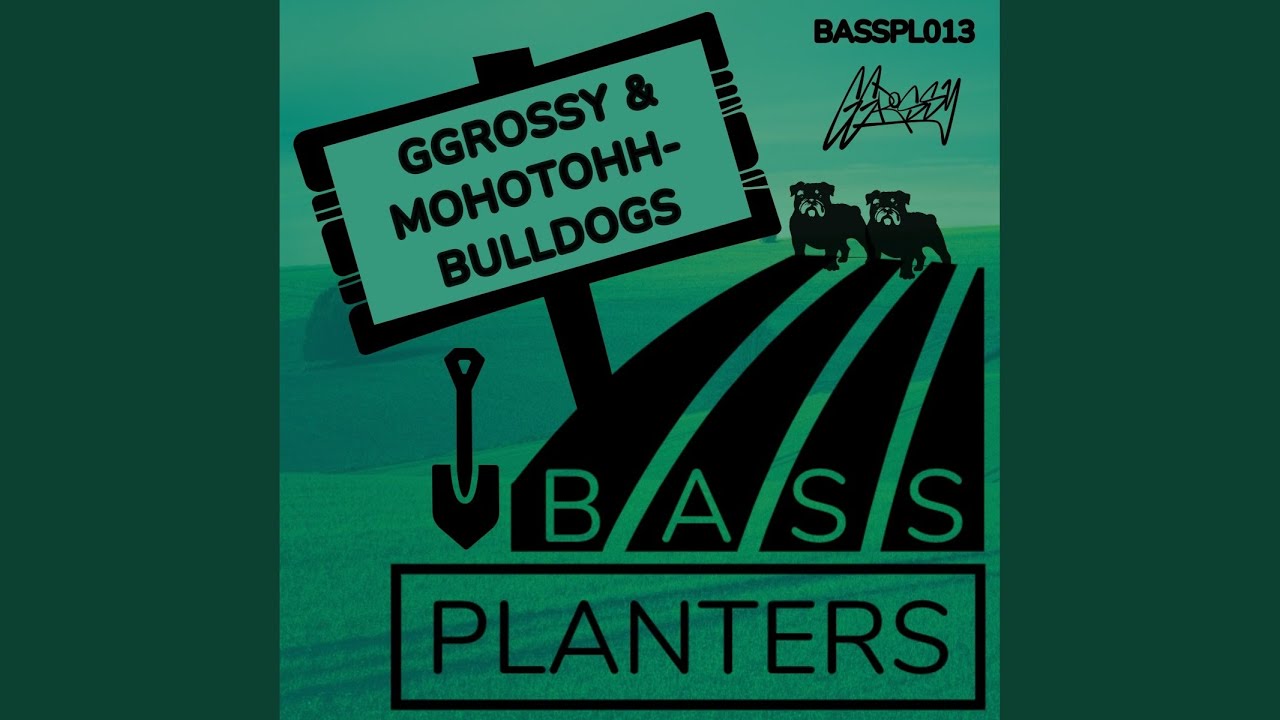 Bulldogs (Original Mix)