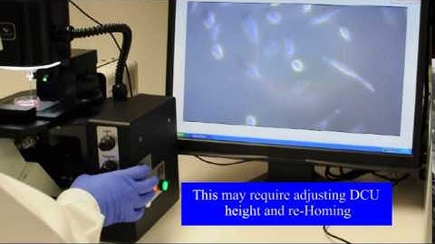 Single Cell Collection using KuiqpicK
