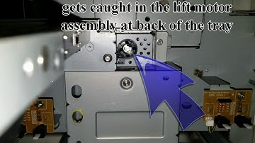 Phaser 7800 clearing jams in Tray 4 and 5