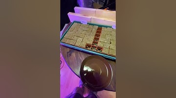 Rockwool Hydroponic Grow Cube Tutorial