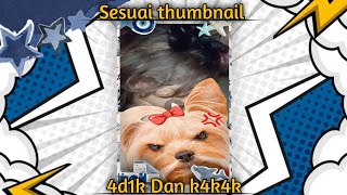 Download Lagu Bermain game class of clans MP3 Download Lagu Bermain game class of clans MP3