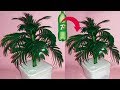 Make Wonderful Tree with Plastic Bottle || Crafts With Plastic Bottle ||dustu pakhe