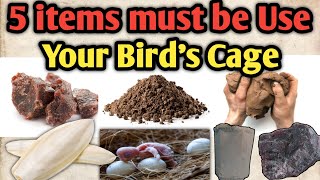 5 Things that must be in your Birds Cage | Birds Important cage items | australian parrots