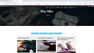 Blog Filter WordPress Plugin - How To Use Blog Filter WordPress Plugin