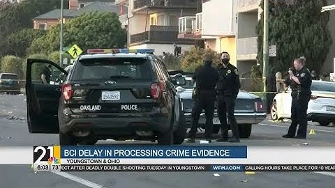 Watchdog Report: BCI delay in processing crime evidence