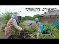 【田舎暮らし】モルタルを使って庭を綺麗にしました!【仲良し夫婦のvlog】【山口県】