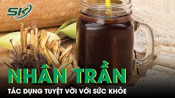 Uống Nước Nhân Trần Có Tác Dụng Gì? | SKĐS