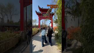 Vivir con EM? Te cuento mi historia #biohacker #em #travel
