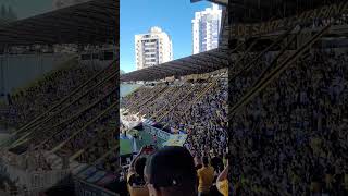 Pré Jogo em Criciúma - 1 Hora Antes de Começar o Jogo a Torcida da Show. Criciúma 1x0 Brusque Final.