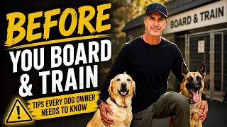 Thinking About Boarding Your Dog?  Watch this FIRST