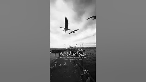 حالات واتس اب مؤثرة | اية تهز قلبك بصوت القارئ | Quran Status, 91 (4)