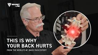 World’s #1 back pain expert shares the #1 cause of back pain