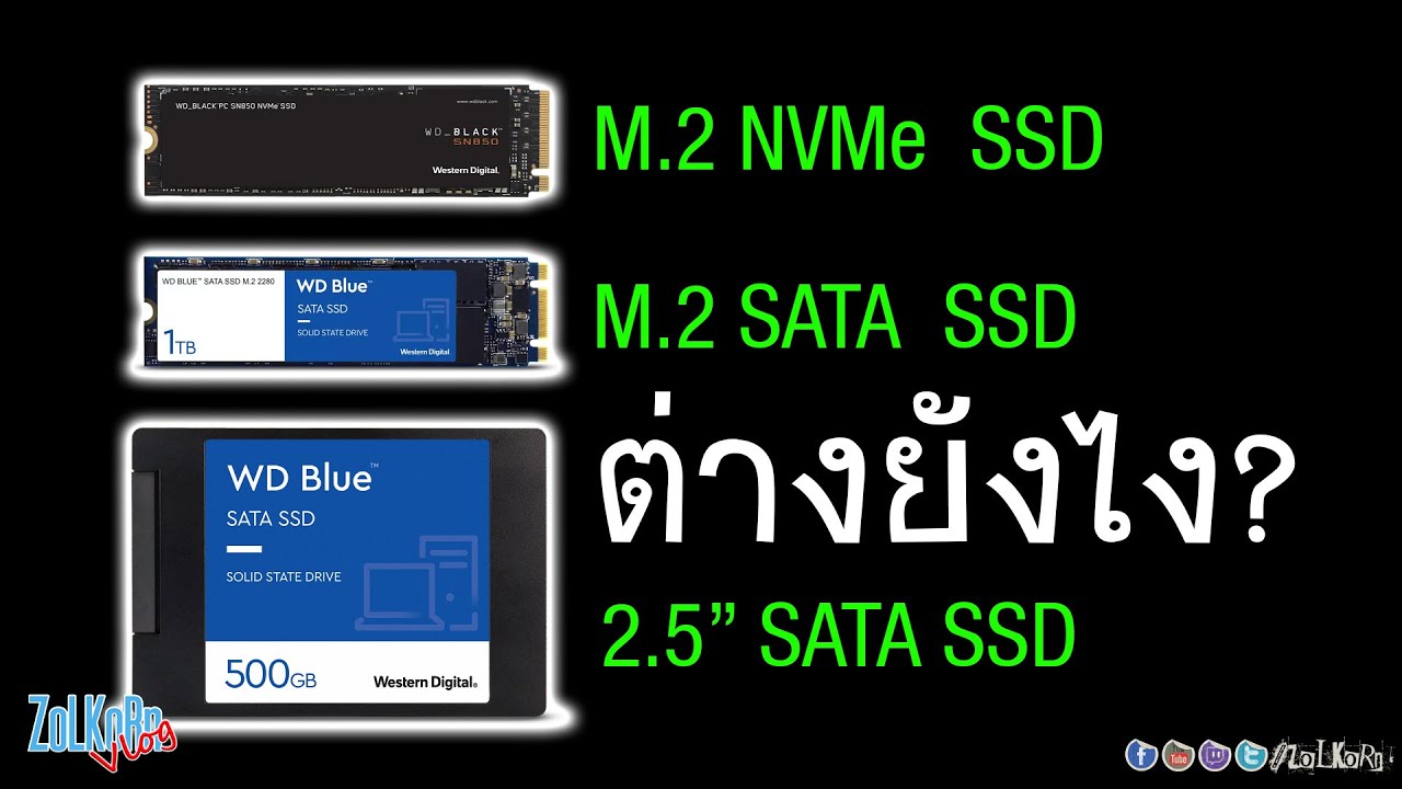 snack Nu Kvæle WD Blue™ SATA SSD 2280 PC Hard Drive Western Digital | stickhealthcare.co.uk