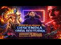 REINICIO DE SEMANA en Warframe🚨DESCENDÍA ONDA NOCTURNA + REGALOS en el Canal de Richinnn🎁