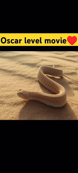 Aadujeevitham this scene, Oscar level moviel #prithvirajsukumaran #thegoatlife #nocopyrightmusic