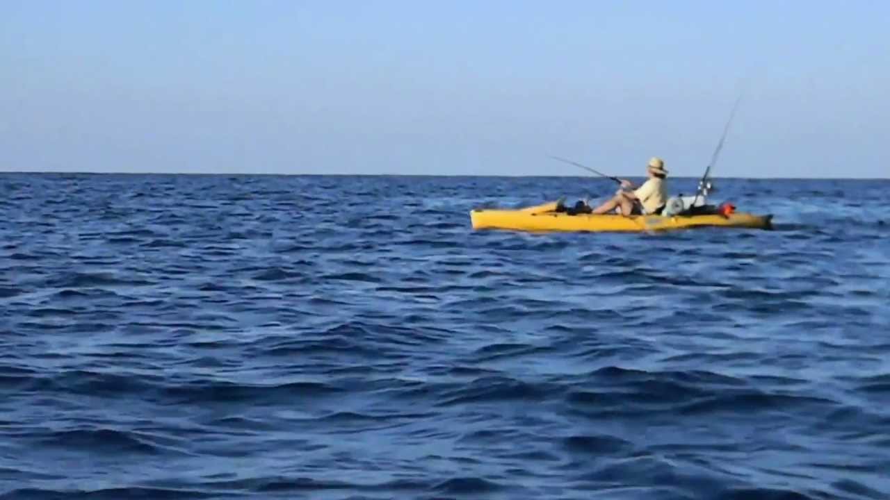 Kayak Fishing Gulf of Mexico YouTube