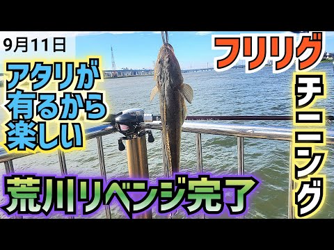島を釣る Revenge for flathead was accomplished using Arakawa