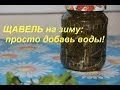 ЩАВЕЛЬ на зиму: просто добавь воды!