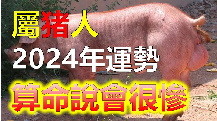 聽說屬豬人2024年會很慘？其實根據生肖學來說，生肖豬逢龍年運勢會旺上加旺，命運如同天空中的雲朵，變幻莫測，生肖豬逢龍年常常被賦予特殊的意義，象徵著運勢大放異彩。屬豬人2024年可能會遭遇困境。 - 天天要聞