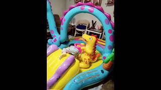 INTEX DINOSAUR INFLATABLE POOL | SUMMER