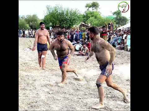 Kabutra Baloch Kabaddi #youtubeshorts #shorts #dangal