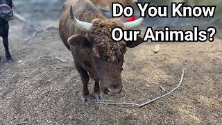 Can You GUESS All Our Animal's Names? 😉
