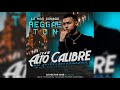 Lo Mas Sonado Del Reggaeton TEAM ALTO CALIBRE - Dj Hector José