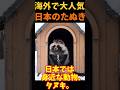 【ゆっくり解説】 海外で大人気 日本のタヌキ
