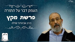 העמק דבר על התורה | פרשת מקץ | הרב אביגדור שילה