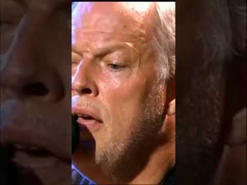 Band S Live Music Performance Acoustic Guitar Cello Magic