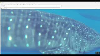 Image Dehazing Flask App in Python Projects
