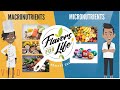 Nourishing Our Bodies The Role of Macronutrients and Micronutrients