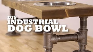 Begin by cutting a 2x12 piece of pine at 28”, and then find the
centre board. we used 8” dog bowls for this project. perfect fit,
use jigsaw a...