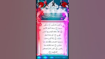 SURAH AL TIN سورة التين #quran #qurantilawat #المصحف