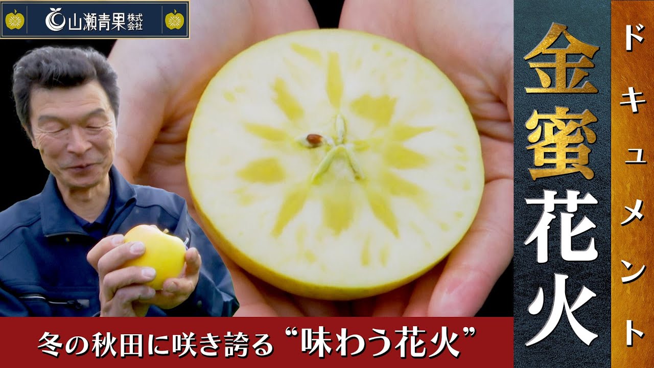 金蜜花火開発ストーリー | 山瀬青果 株式会社