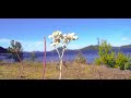 RelaxationDétente Nature Relaxing music love unifié l âme et l esprits °`°