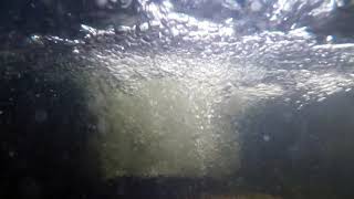 Royalty Free Underwater Bubbles Stock Video Footage