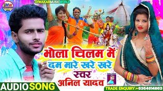 anil yadav ka bol bam song | भोला चिलम में दम मारे खरे खरे | anil yadav ka bol bam ke gana