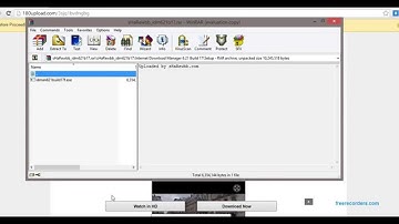Internet Download Manager 6.21 Build 17 + Crack