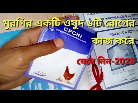 ভিডিও: একটি বসন্ত উপাদেয়তা বৃদ্ধি