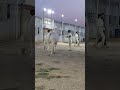 #eiduladha2025#season2025#skcattlefarm#unfrezzmyaccount#viralvideios#islamabadcowmandi#fatehjungi