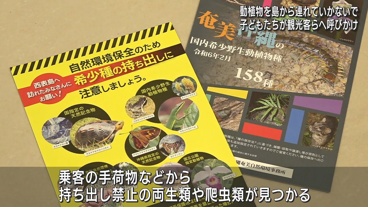 希少動植物を守ろう 子どもたちが観光客らに呼びかけ - YouTube