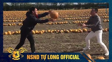 TỰ LONG VÀ XUÂN BẮC THI NHAU TUNG HỨNG TẠI CÁNH ĐỒNG BÍ NGÔ SIÊU RỘNG LỚN