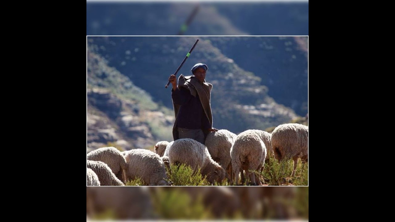 MAQEBA NO1 [TRACK 01]