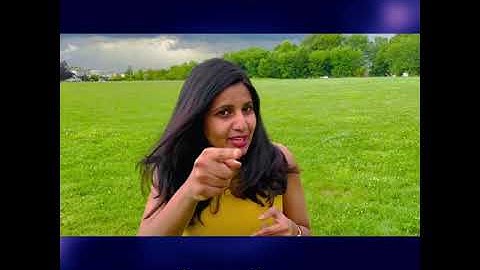 Driving Postman to meet Newman for REST - The challenges faced and decisions made