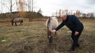 картинка: МОЙ ВЫБОР - СОХРАНИТЬ БЕЛАРУСЬ 20.11.2024