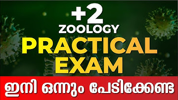 PLUS TWO ZOOLOGY LAB EXAM | PLUS TWO PRACTICAL EXAMS | EXAM WINNER