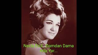 Necla Erol...Damdan dama Atlayar..