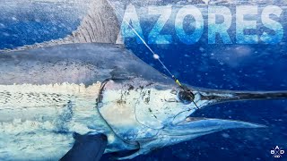 Marlin Fishing in Azores, The Land of Giants - PART ONE